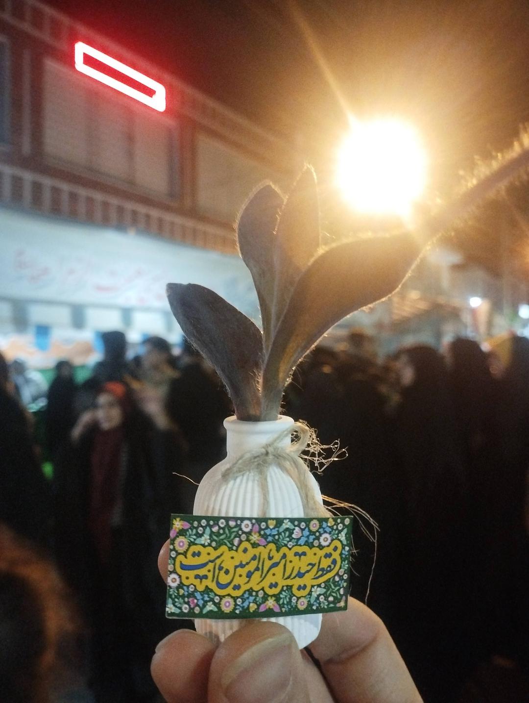 می جنگم اینجا⚔️🇮🇷